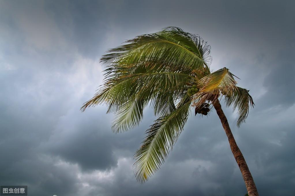 海南臺(tái)風(fēng)最新消息,海南臺(tái)風(fēng)最新消息，臺(tái)風(fēng)動(dòng)態(tài)與應(yīng)對(duì)措施