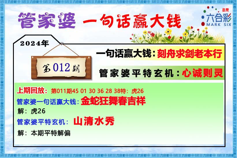 2004管家婆一肖一碼澳門碼,創(chuàng)新思維策略解答解釋_高效制29.189