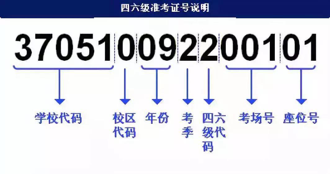 澳門正版資料免費(fèi)大全新聞最新大神,細(xì)致策略解答探討解釋_宣傳集6.229