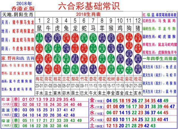 澳門正版資料大全資料生肖卡,澳門正版資料大全資料生肖卡的探索與解析