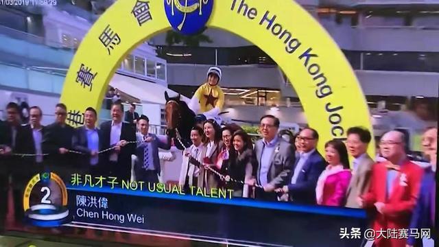 2024今晚香港開(kāi)特馬開(kāi)什么,探索香港賽馬文化，2024今晚特馬賽事展望