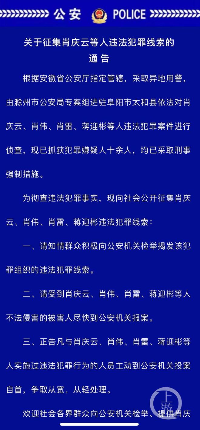 揭秘一肖一碼100精準(zhǔn),揭秘一肖一碼，犯罪行為的真相與警示