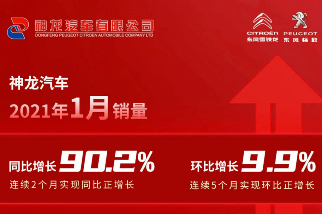 2024新奧資料免費(fèi)精準(zhǔn)109,探索未來，2024新奧資料免費(fèi)精準(zhǔn)獲取之道（109細(xì)節(jié)詳解）