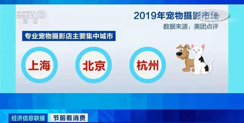 管家婆一肖一碼100正確,管家婆一肖一碼，揭秘100%正確的預測之道