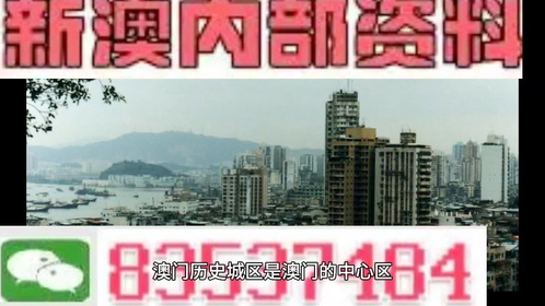 2024澳門精準四不像正版,澳門精準四不像正版與犯罪問題探討