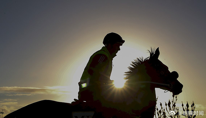 2024澳門特馬今期開獎結(jié)果,揭秘澳門特馬2024年最新開獎結(jié)果——深度解析與預(yù)測