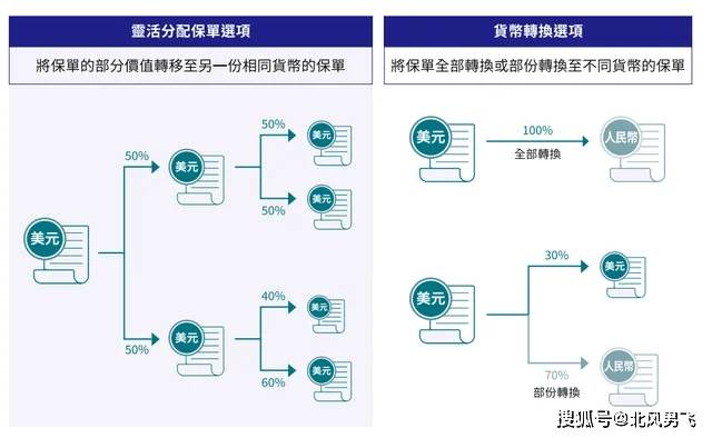 2024年香港開(kāi)獎(jiǎng)結(jié)果記錄,揭秘香港彩票市場(chǎng)，2024年開(kāi)獎(jiǎng)結(jié)果記錄深度解析