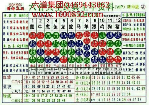 2024十二生肖49碼表,揭秘2024十二生肖與數(shù)字彩票的神奇聯(lián)系——揭秘49碼表中的奧秘