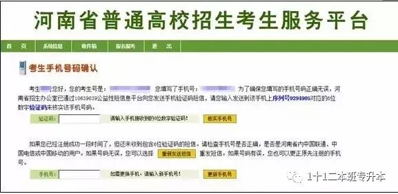 澳彩一碼一碼100準(zhǔn)確,澳彩一碼一碼，犯罪行為的警示與反思