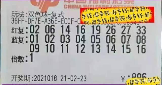 澳門今晚開什么特殊號碼,澳門今晚開什么特殊號碼，理性看待彩票與賭博的界限