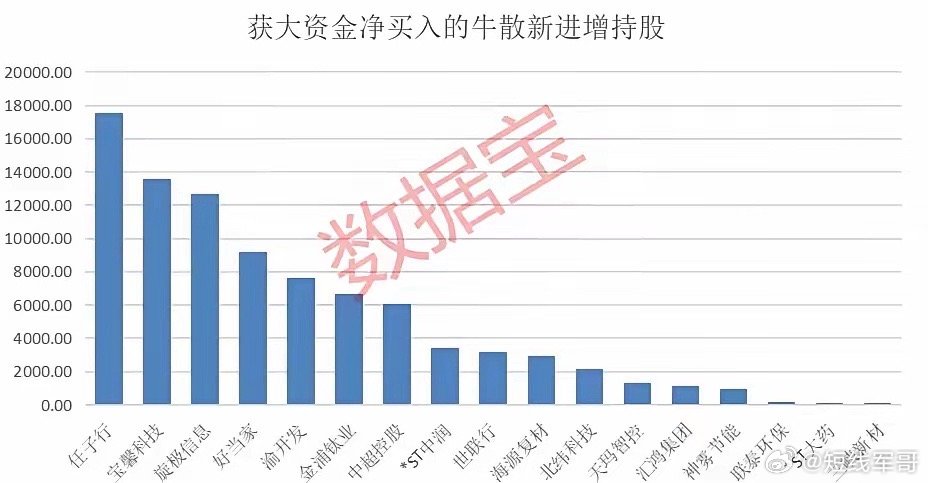 牛散最新持股,牛散最新持股動向及其投資策略深度解析