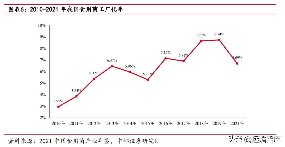 金針菇價(jià)格最新行情,金針菇價(jià)格最新行情分析