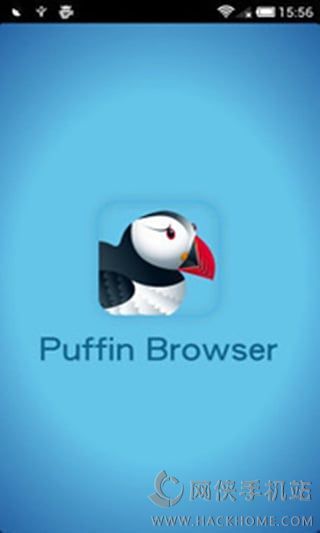 puffin最新版下載,探索Puffin瀏覽器最新版下載的魅力與優(yōu)勢(shì)