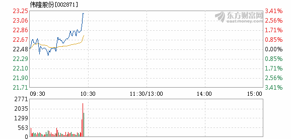 偉隆股份最新消息,偉隆股份最新消息全面解讀