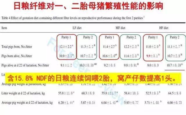 2024新澳精準正版資料,平衡執(zhí)行計劃實施_Tablet49.284