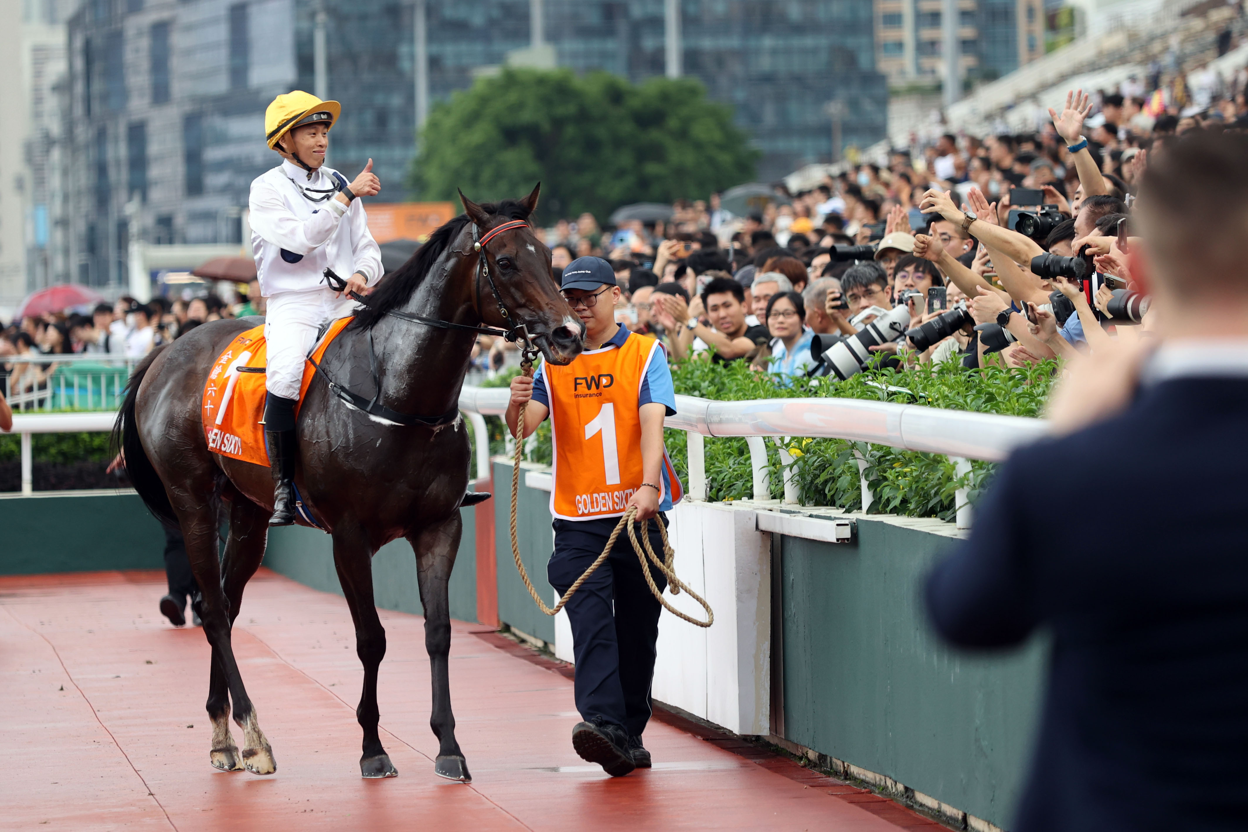 2024香港賽馬全年免費資料,實踐調(diào)查說明_定義版60.362