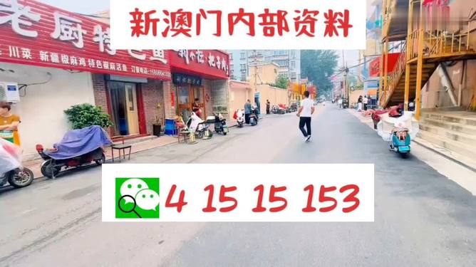 2024澳門(mén)天天開(kāi)好彩精準(zhǔn)24碼,釋意性描述解_時(shí)尚版48.317