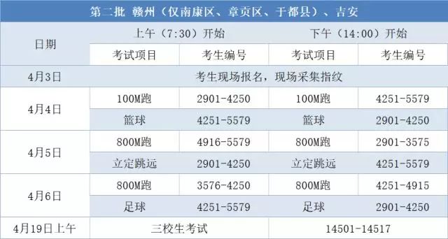 2024年12月17日 第29頁