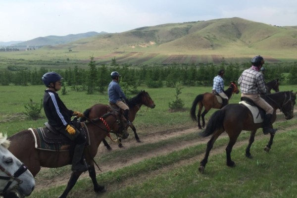 澳門今晚開特馬四不像圖,澳門今晚開特馬四不像圖，警惕背后的違法犯罪問題