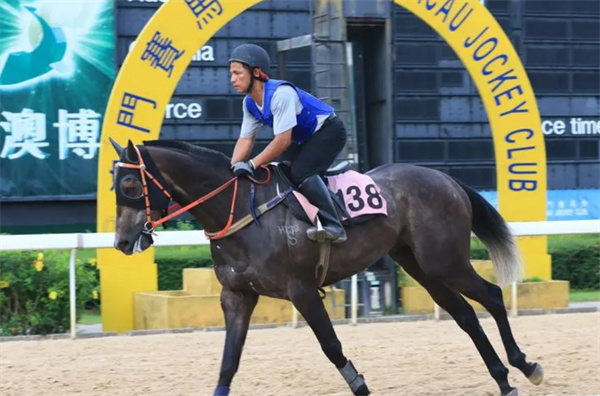 澳門今晚開特馬+開獎結(jié)果課優(yōu)勢,快速解答方案實踐_復(fù)古版67.319