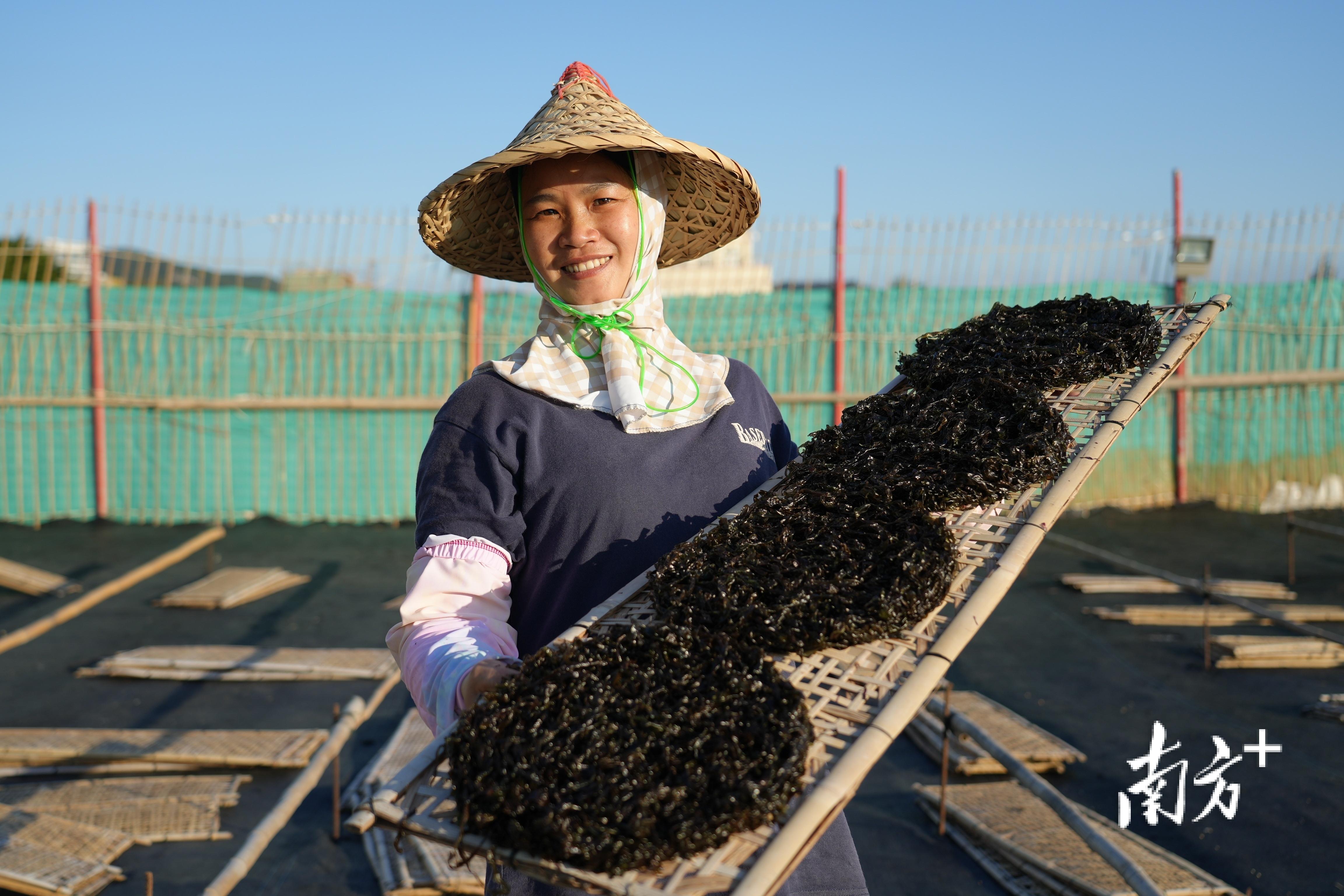 陸豐市科技局等最新招聘信息,陸豐市科技局最新招聘信息及職業(yè)機會探討