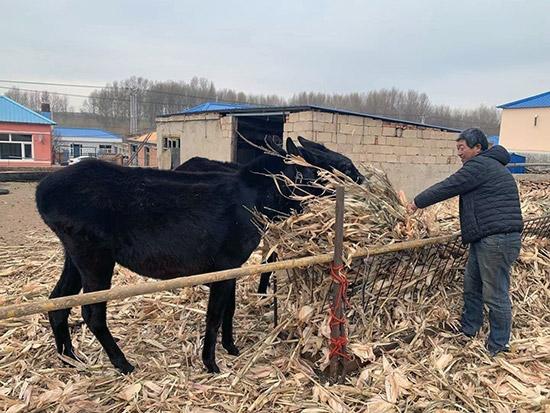 科爾沁右翼前旗防疫檢疫站最新發(fā)展規(guī)劃,科爾沁右翼前旗防疫檢疫站最新發(fā)展規(guī)劃