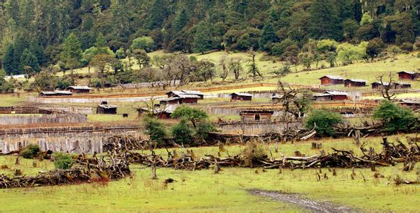 東巴村最新天氣預(yù)報(bào),東巴村最新天氣預(yù)報(bào)