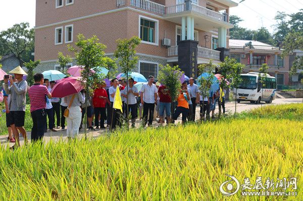 荊州市市農(nóng)業(yè)局最新項(xiàng)目,荊州市市農(nóng)業(yè)局最新項(xiàng)目，引領(lǐng)農(nóng)業(yè)現(xiàn)代化，助力鄉(xiāng)村振興