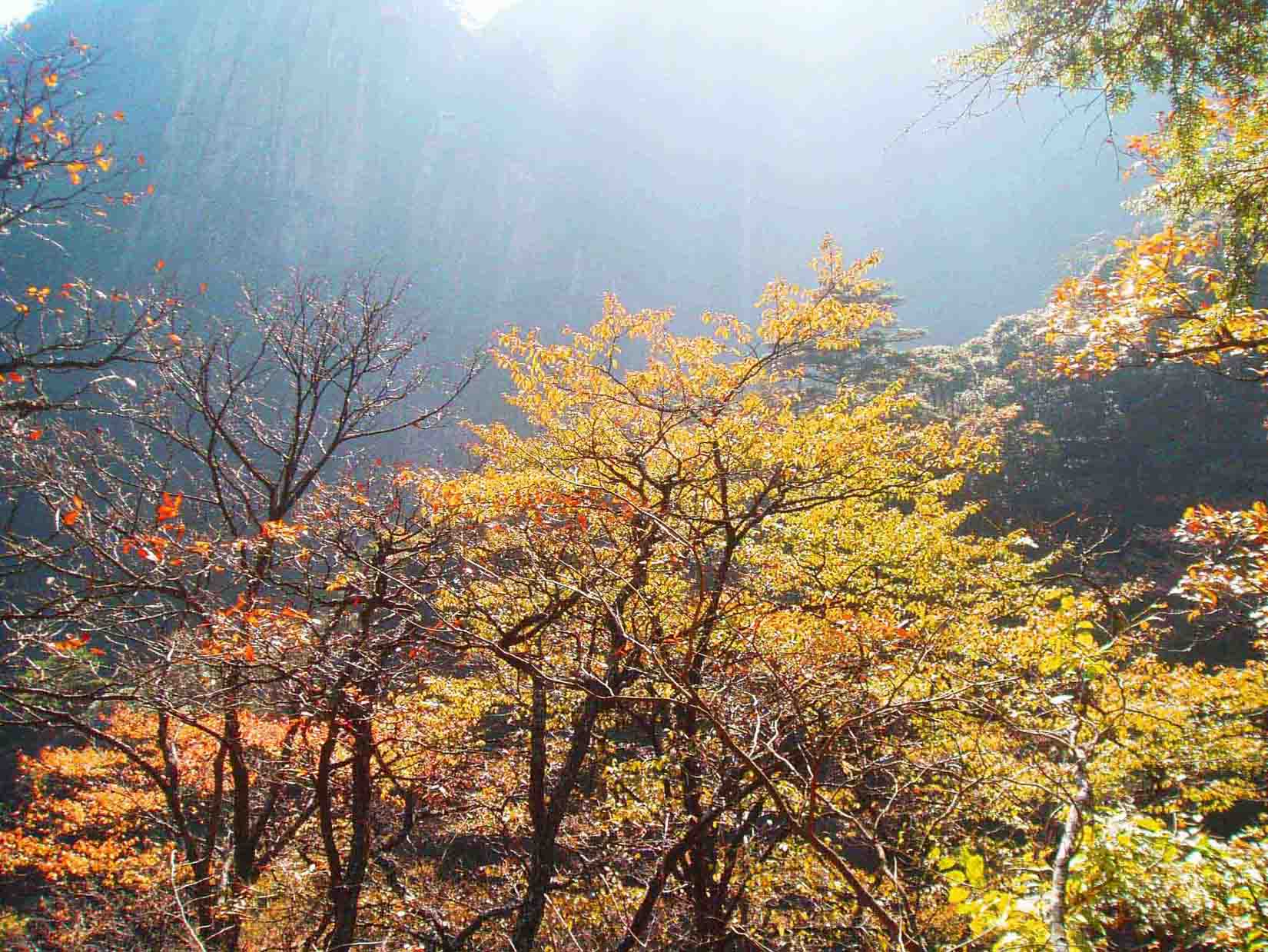 峻嶺林場最新天氣預(yù)報(bào),峻嶺林場最新天氣預(yù)報(bào)