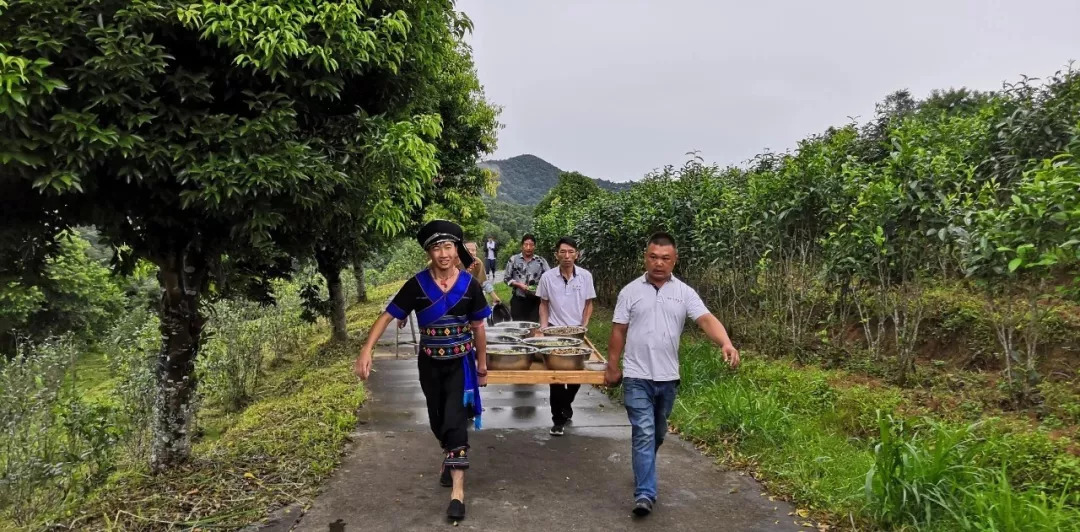 雙江拉祜族佤族布朗族傣族自治縣自然資源和規(guī)劃局最新人事任命,雙江拉祜族佤族布朗族傣族自治縣自然資源和規(guī)劃局最新人事任命