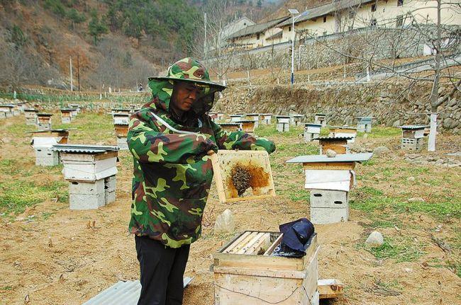 柞水縣財政局最新項目,柞水縣財政局最新項目，推動地方經濟高質量發(fā)展