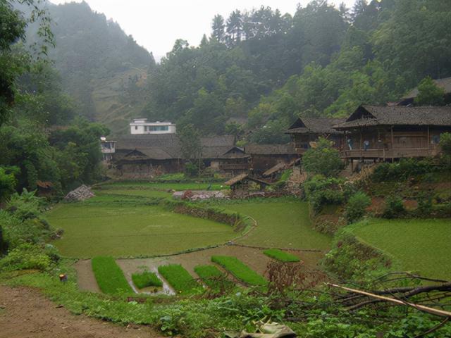 酉陽土家族苗族自治縣自然資源和規(guī)劃局最新項目,酉陽土家族苗族自治縣自然資源和規(guī)劃局最新項目概覽