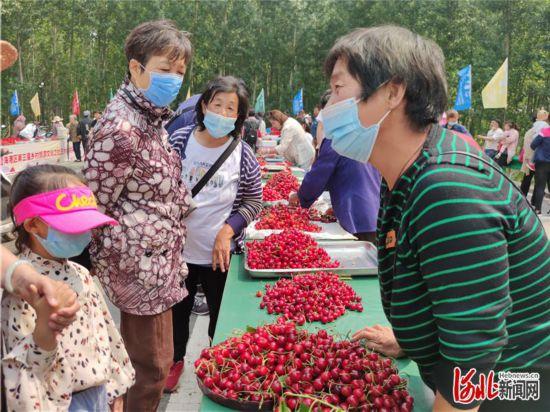 杜莊鎮(zhèn)最新項(xiàng)目,杜莊鎮(zhèn)最新項(xiàng)目，引領(lǐng)未來發(fā)展的新動(dòng)力