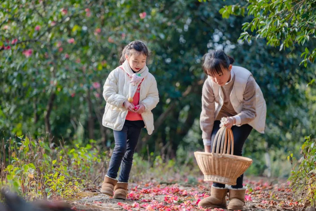 那若村最新招聘信息,那若村最新招聘信息概覽