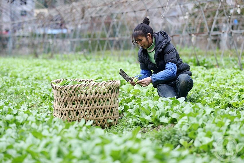 舟白街道最新新聞,舟白街道最新新聞動(dòng)態(tài)