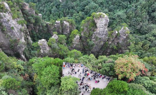 張家界國家森林公園管理處最新人事任命,張家界國家森林公園管理處最新人事任命，塑造未來，引領發(fā)展