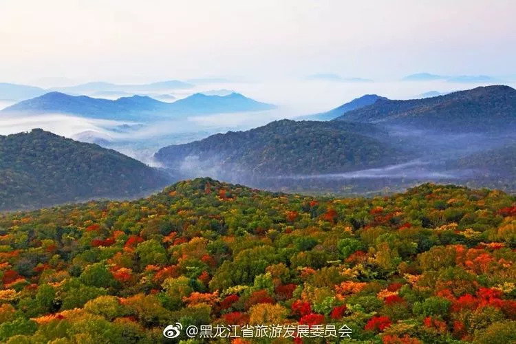 舜皇山國家森林公園最新人事任命,舜皇山國家森林公園最新人事任命，塑造自然保護(hù)與可持續(xù)發(fā)展的新篇章