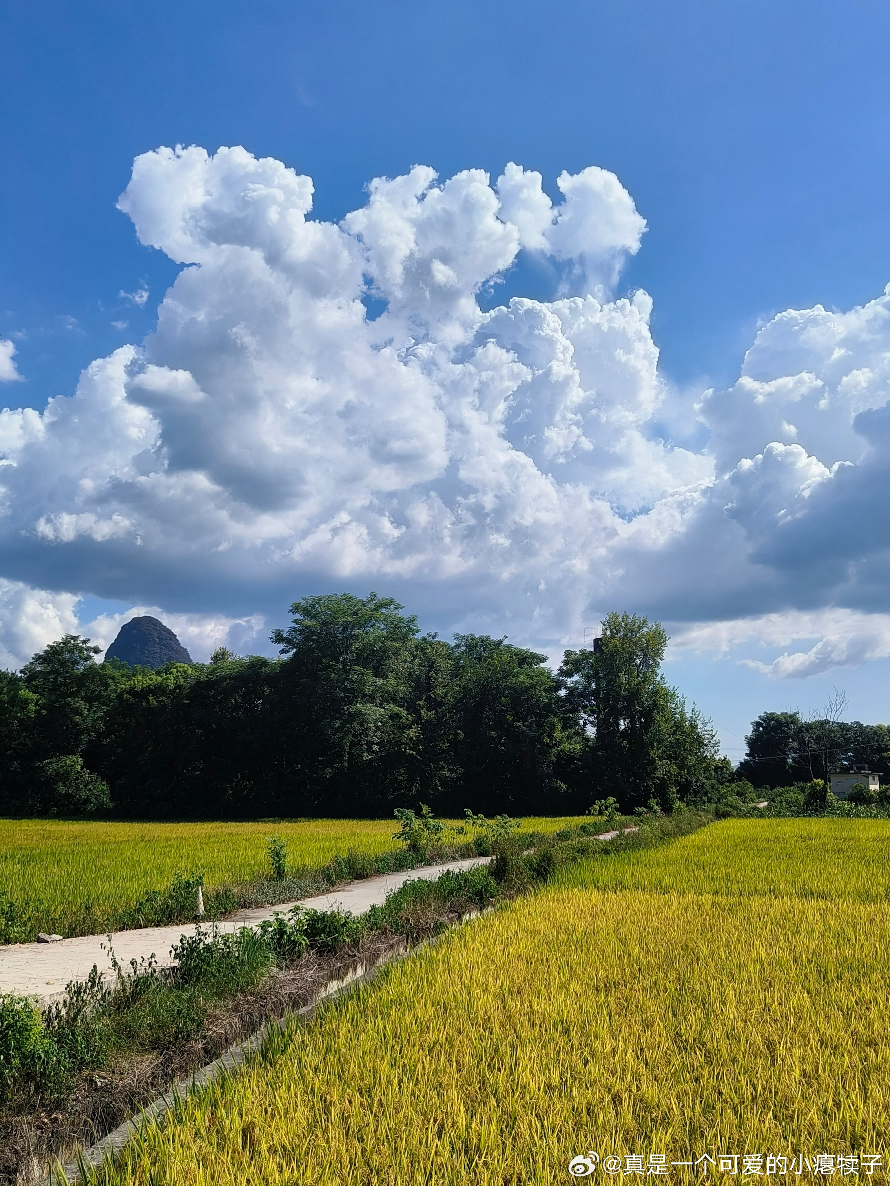 會(huì)仙鎮(zhèn)最新天氣預(yù)報(bào),會(huì)仙鎮(zhèn)最新天氣預(yù)報(bào)