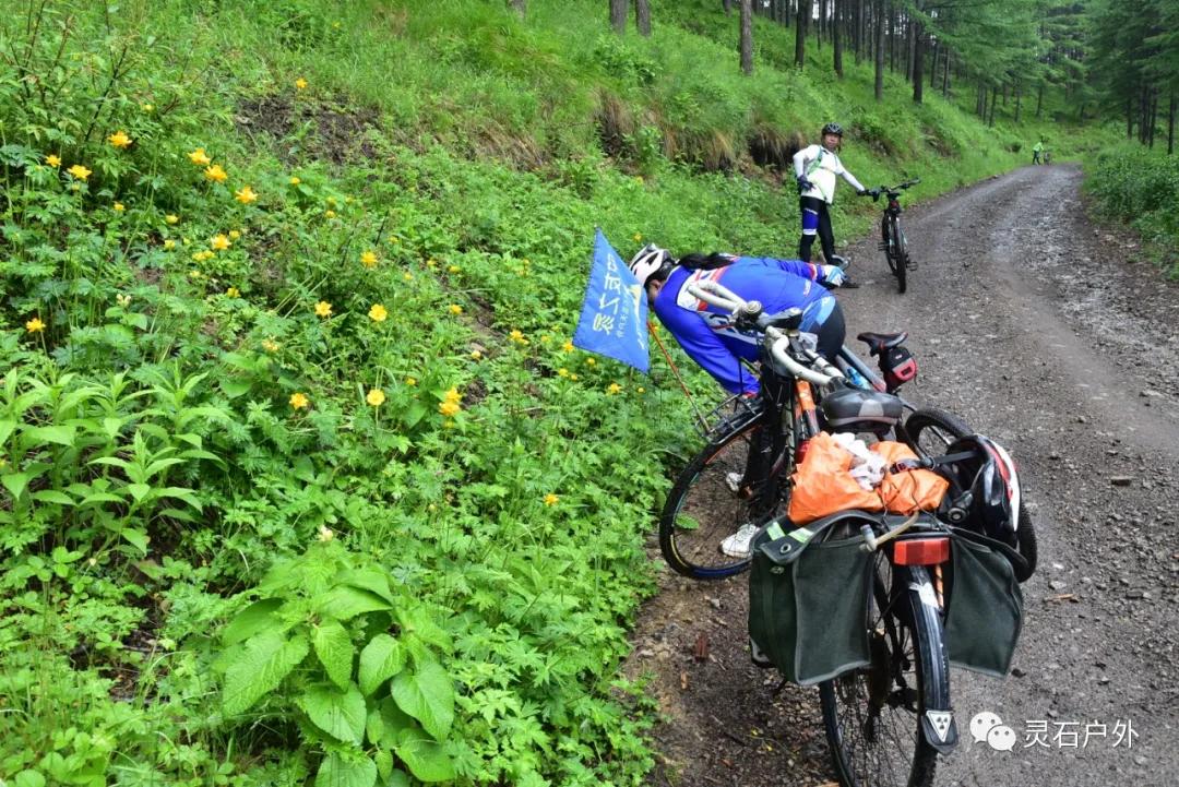 山西省晉中市靈石縣南關(guān)鎮(zhèn)最新天氣預(yù)報(bào),山西省晉中市靈石縣南關(guān)鎮(zhèn)最新天氣預(yù)報(bào)