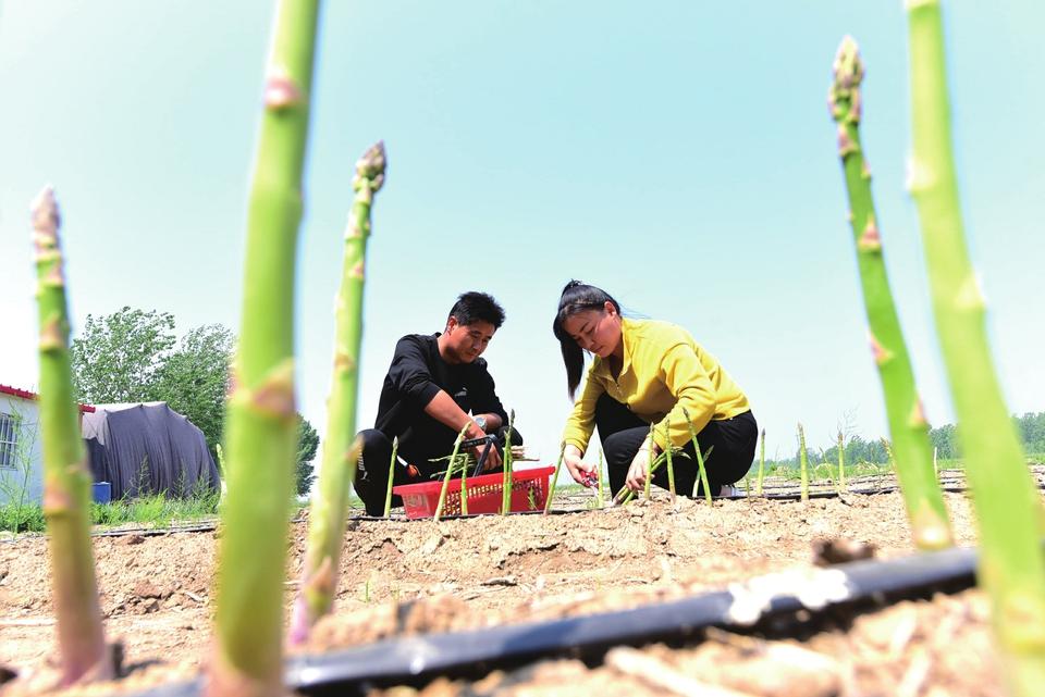 李臺鎮(zhèn)最新新聞,李臺鎮(zhèn)最新新聞報道