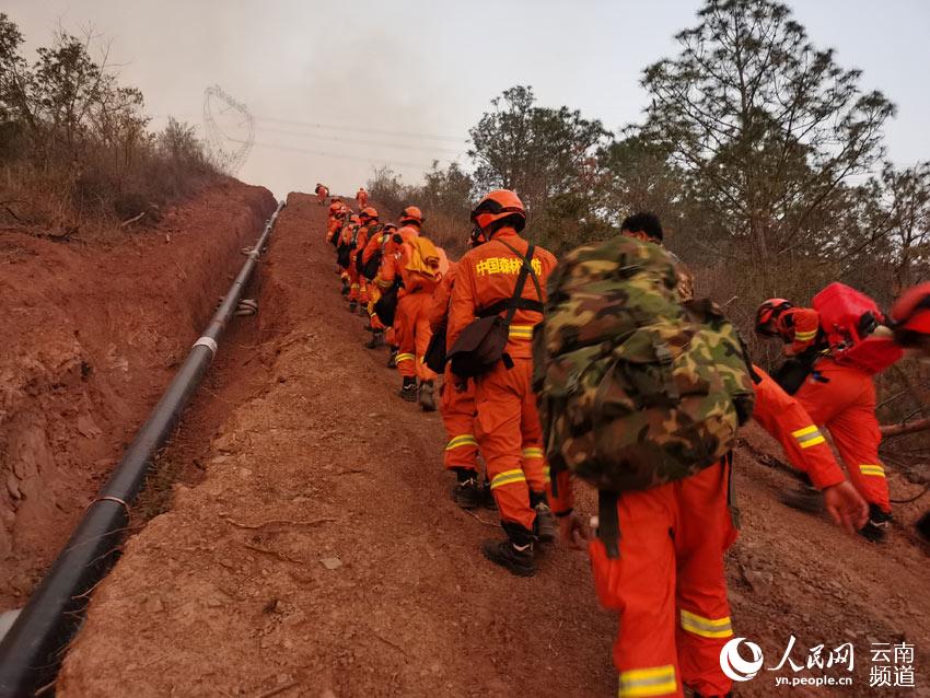 南澗彝族自治縣人民政府辦公室最新招聘信息,南澗彝族自治縣人民政府辦公室最新招聘信息公告