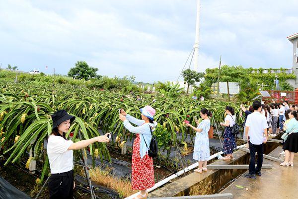 新澳精選資料免費(fèi)提供|便利釋義解釋落實(shí),新澳精選資料免費(fèi)提供，助力學(xué)習(xí)之路，便利釋義解釋落實(shí)