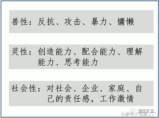 三肖必中特三肖三碼的答案|心智釋義解釋落實,探索心智釋義，三肖必中特三肖三碼的答案與心智落實的重要性