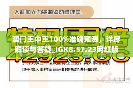 2025澳門(mén)王中王100%期期中|恒定釋義解釋落實(shí),澳門(mén)王中王期期中的恒定釋義與落實(shí)策略，一個(gè)深入解析的視角