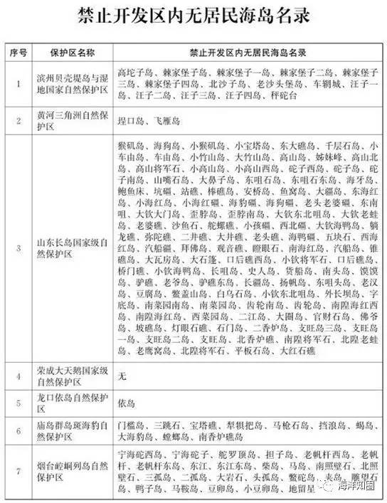 四不像正版資料2025年|深化釋義解釋落實(shí),四不像正版資料2025年，深化釋義、解釋與落實(shí)