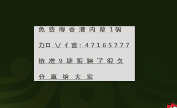 2004新澳正版兔費大全|一舉釋義解釋落實,探索新澳正版兔費大全，一舉釋義與落實的深度解讀