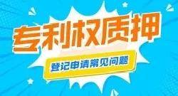 2024澳門天天開好彩免費大全,實際調研解析_動感版48.338