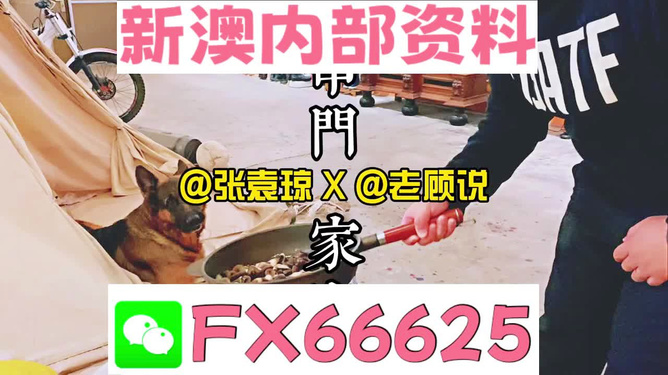 新澳門精準資料大全管家婆料|功率釋義解釋落實,新澳門精準資料大全與功率釋義，管家婆料及其實施落實詳解