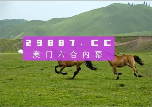 2024澳門最精準(zhǔn)跑狗圖,快速產(chǎn)出解決方案_互助版48.690