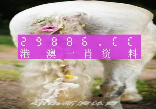 澳門一肖一碼一一特一中,全面解答_探索版75.509